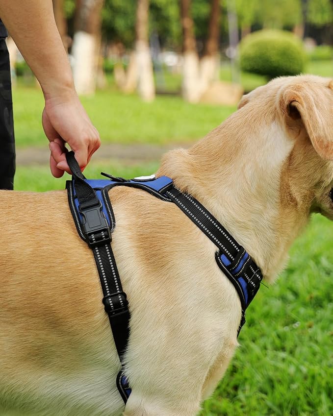Joytale Dog Harness (Chest: 17-34"), Dog Collar and 6FT x 1" Wide Dog Leash Set, Reflective Padded Nylon Collar and Leash, Adjustable Soft Harness with Handle for Dogs