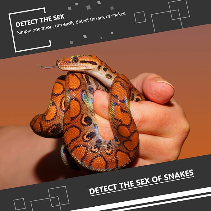 1set Reptile Snake Gender Probe Lightweight and Compact Snake Gender Detection Tool Supplies
