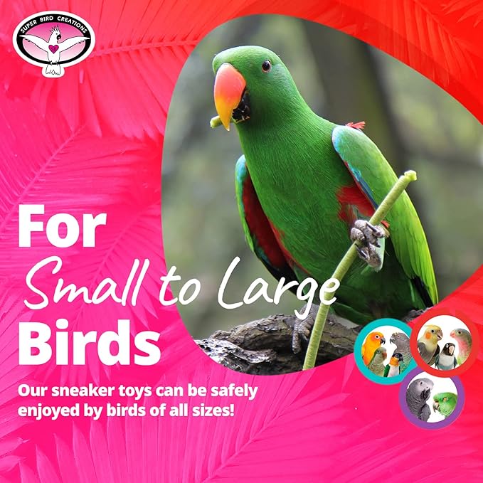 Super Bird Creations SB50010 Sneaker Bird Toy - Durable Safe Chew Toy - Ideal for Cockatiels Parakeets Parrots Small to Large Birds - Vibrant, Assorted Colors 3" x1-1/2 x 1-3/8" (12 Pack)