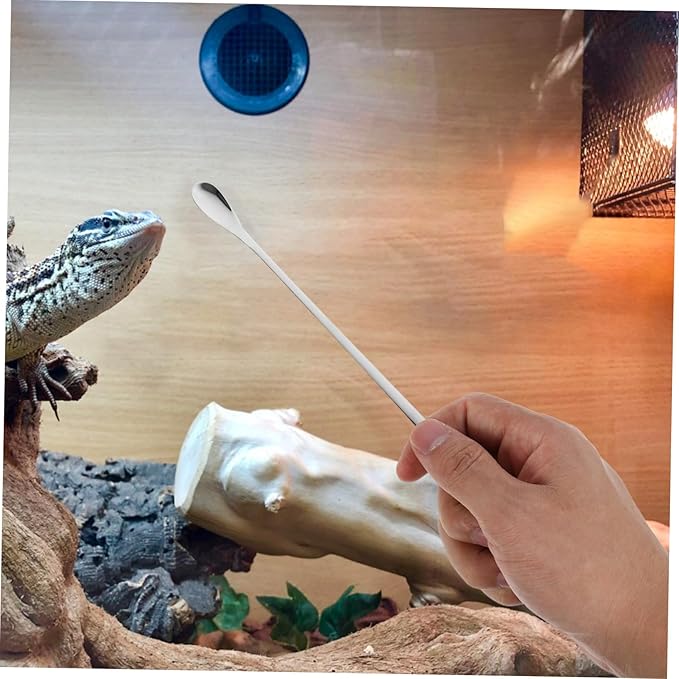 COLLBATH 5pcs Lightweight Reptile Food Scoops for Lizard Feeding Ergonomic Design for Precise Nutrition Durable Small Animal Feeding Spoons for Home Use