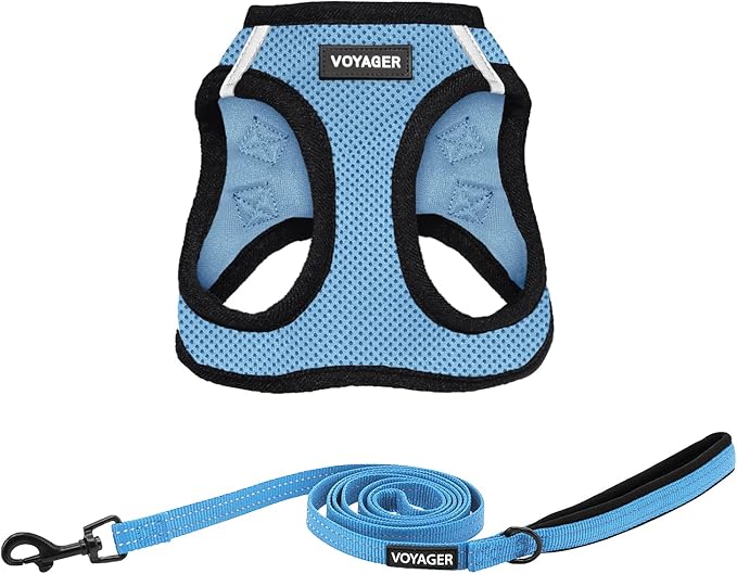 Best Pet Supplies Voyager Step-in Air All Weather Mesh Harness and Reflective Dog 5ft Leash Combo with Neoprene Handle, for Small, Medium and Large Breed Puppies - Set (Baby Blue/Black Trim), X-Large