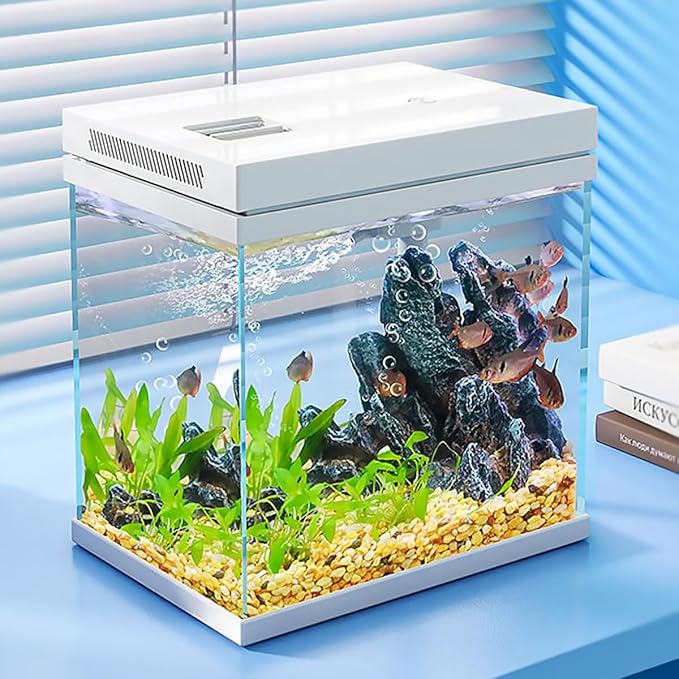 Fish Tank, 4 Gallon Nano-Aquarium, Upgrade Filter System and LED Light, for Freshwater & Marine, Filter Balls Included (4 Gal)