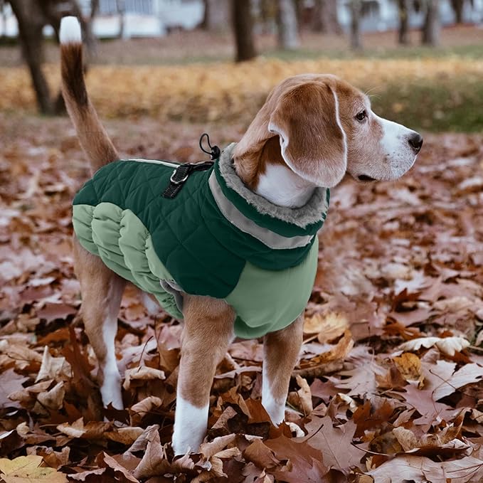 Lelepet Warm Dog Winter Coat Dog Coats for Medium Dogs Waterproof Dogs Jacket with Harness Built in Reflective Cold Weather Coats Windproof Zip-Up Winter Fleece Vest Snowsuit Dachshund Teal Green