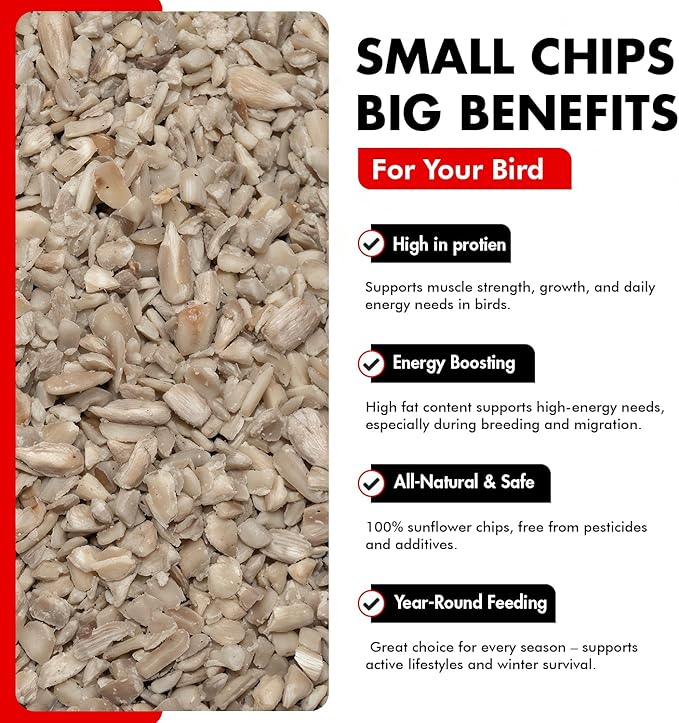 Morning Bird Sunflower Hearts & Chips 9 lbs – Premium Bird Seed with High Protein & Healthy Fat - Shelled Sunflower Hearts for Birds - Mess Free, Easy to Feed, Delicious Snack