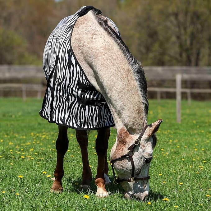 Country Pride Zebra Print Soft Mesh Fly Sheet for Horses, Summer Insect Protection, Adjustable Double Buckle Front, Shoulder Gussets, Removable Leg Straps, Breathable Mesh Horse Blanket (76 in)