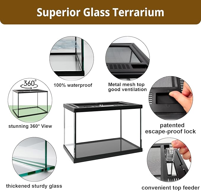 5-in-1 Small Reptile Glass Terrarium Kit 12x8x8in Full View Reptile Enclosure Tank w/Thermo-Hygrometer, Hide & Tongs for Jumping Spiders, Tarantulas, Hermit Crabs & Dwarf Geckos