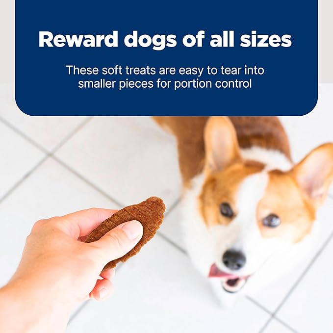 Blue Buffalo Nudges Jerky Bites Dog Treats, Made in the USA with Natural Ingredients, Bite-Sized Pieces, Chicken, 16-oz Bag, (Pack of 4)