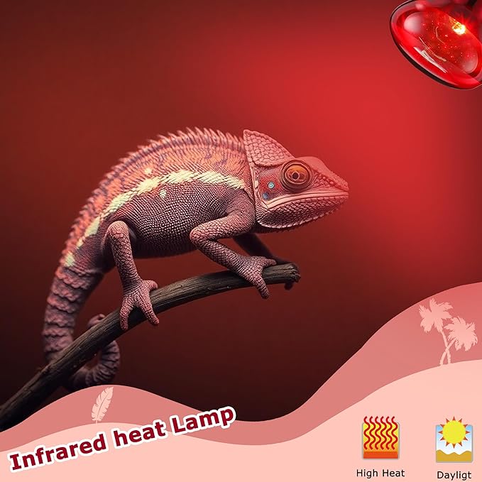 75W Red Infrared Basking Spot Light Bulbs for Reptiles & Amphibians, Heat Lamp for Bearded Dragons, Turtles, Snakes, Chicks, Terrarium Heating and Brooder Warmth, 2 Pack
