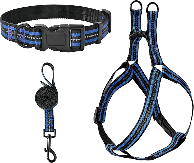 Mile High Life Night Reflective Double Adjustable Band Nylon Small Puppy Pet Dog Combo Collar Leash and Harness Set (Reflective Stripe Blue, Large (Pack of 3))