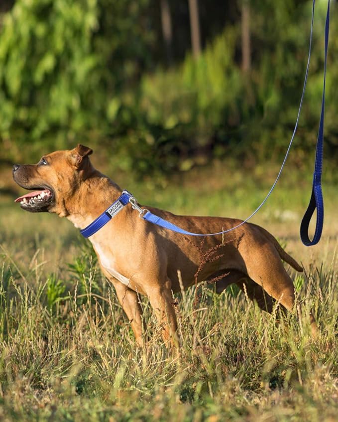 Joytale Dog Harness (Chest: 17-34"), Dog Collar and 6FT x 1" Wide Dog Leash Set, Reflective Padded Nylon Collar and Leash, Adjustable Soft Harness with Handle for Dogs