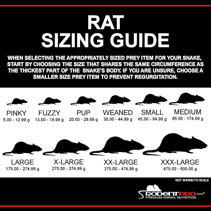 RodentPro Frozen Reptile Feeder Large Rats (5 Count)