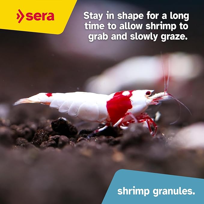 Sera Shrimp Granules, 1.9 oz I Premium Shrimp Food with spirulina & Alder Cones | Provides Healthy Growth, molting & Fertility | No Dyes or preservatives | Ideal for Fresh & Marine Water Shrimps