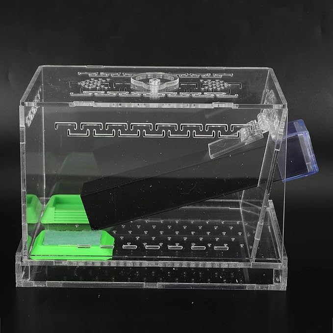 Acrylic Feeding Cricket Keeper Pen with Tubes Care Kit Tank Box for Reptile (Small 9x9x11cm/ 3.54x3.54x4.33in)