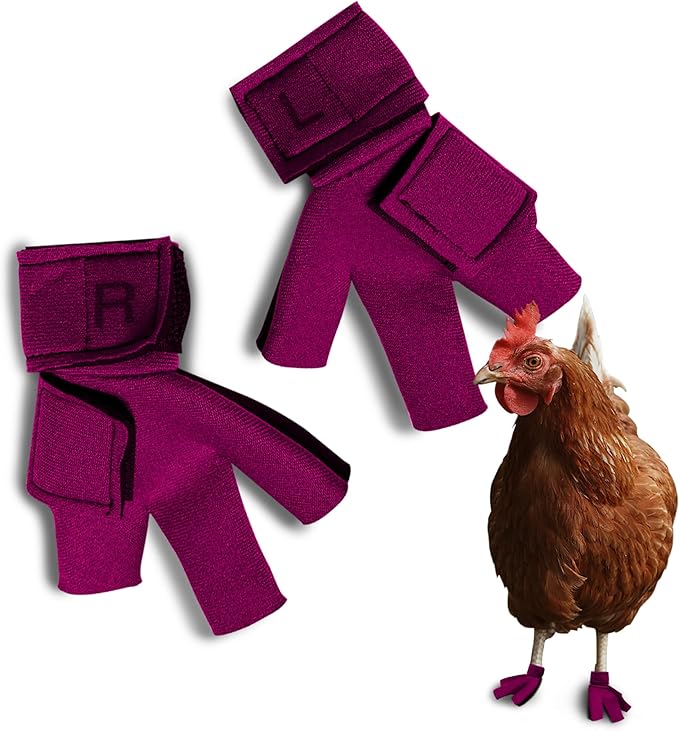 Chicken Shoes for Injured Feet – Protective Neoprene Footwear for Chicken, Open-Toe Design for Bumblefoot Relief, Made in USA - Large, 4" Max. Inside Width, Pink