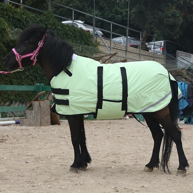 Foal/Mini Horse Size 30"-48" Waterproof & Breathable 300 Denier Winter Turnout Blanket with 150g Polyfill Grassgreen Medium