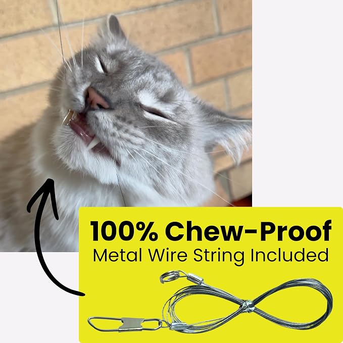 Forever Stick and 3 Strings including Chew Proof Metal Wire - The Unbreakable Cat Wand Toy, Durable Cat Toy Wand, Extra Long Cat String Toy, Cat Fishing Pole Toy for Bored Indoor Adult Cats, Stick Toy - Image 6