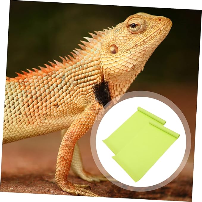 BESPORTBLE 2pcs Reptile Carpet and Substrate for Bearded Dragons Tortoises and Lizards Terrarium Liner