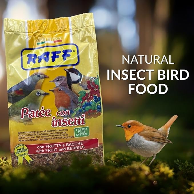 Raff Patee with Insects 400g – Fruit and Berries Soft Food for Canaries, Finches, and Exotic Birds - High Protein Breeding and Molting Diet – Easy to Digest and Versatile Use