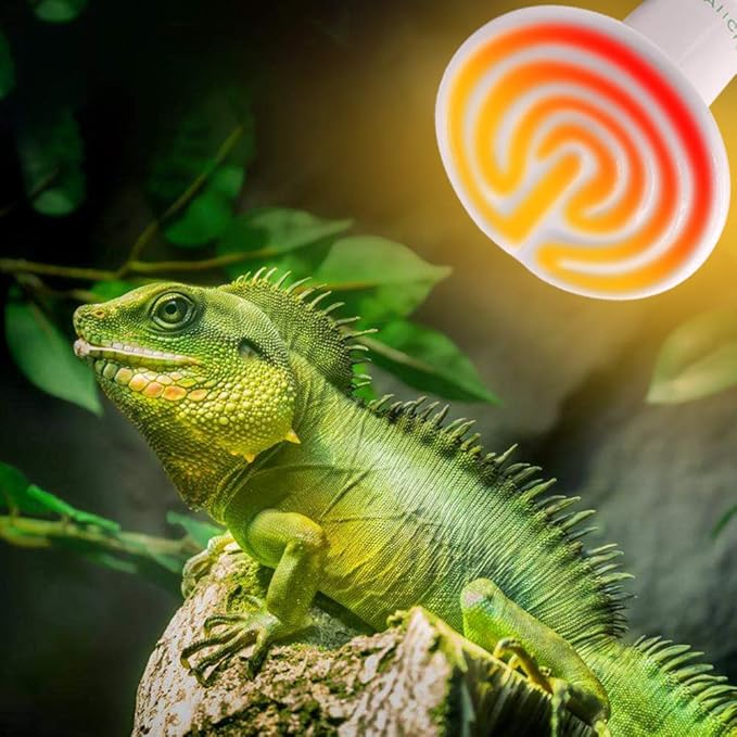Aiicioo Reptile Heat Lamp Bulb -60W Ceramic Heat Emitter No Harm No Light Infrared Heater Lamp for Chicken Coop Lizard Aquarium Snake Outside Dogs Brooder 110V,White
