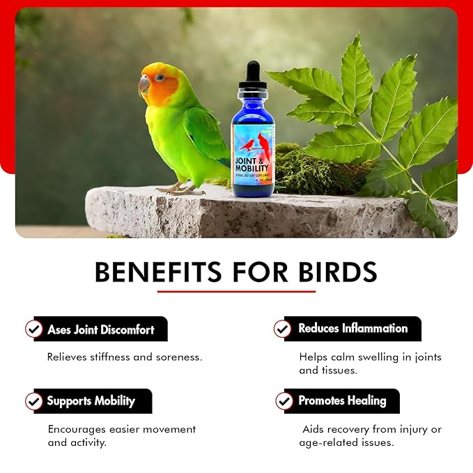 Morning Bird Joint & Mobility 1 fl oz – Herbal Liquid Supplement for Birds – Supports Joint Health, Muscle Comfort & Mobility – Ideal for Aging or Recovering Birds