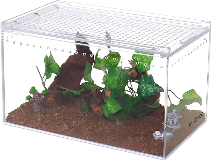 NANEEZOO Magnetic Acrylic Enclosure 10x6x6 Inch Tall Long Case Reptile Habitat Terrarium cage for Terrestrial Arboreal Tarantula Scorpion Sling Isopods Lizards Invertebrates Insect Mantis