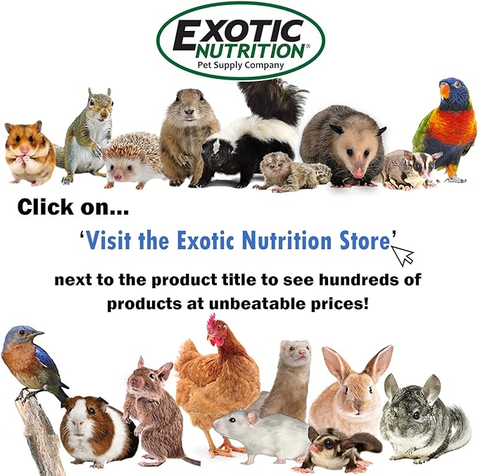 Exotic Nutrition Squirrel Complete (15 lb.) - Healthy Natural Food for Pet & Captive Squirrels - Ground, Grey, and Flying Squirrels, & Chipmunks