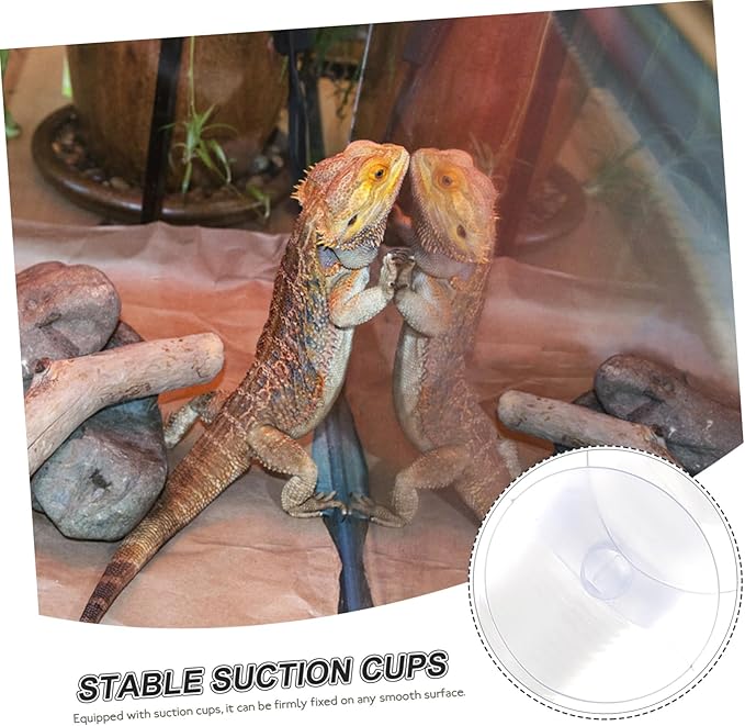 BESPORTBLE Reptile Humidifier Extension Tube for Tank Terrarium Supplies Stretchable Hose Suction Cup