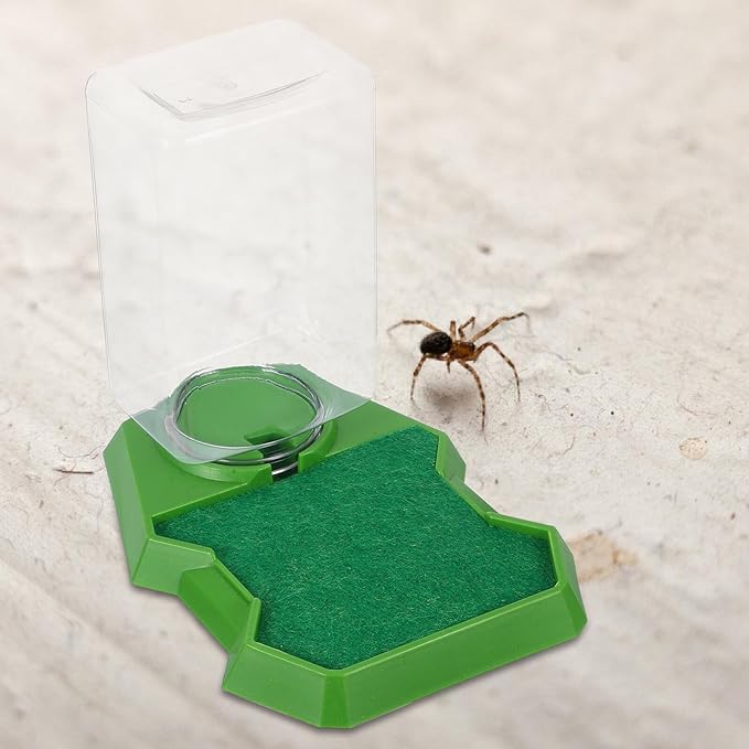 Reptile Water Dispenser and Feeding Dish, Small Green Water Feeder for Gecko and Lizard Terrarium, Hydration Accessory for Reptile Enclosure and Tortoise Care
