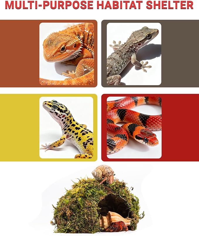 Reptile Hides and Caves – Leopard Gecko Tank Accessories, Natural Dome Reptile Cave & Shelter, Gecko Tank Accessories & Hermit Crab Shelter, Hamster Cage Accessories