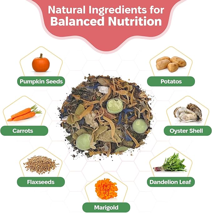 Snout and Shell Isopod Foraging Bundle – Garden & Wetland