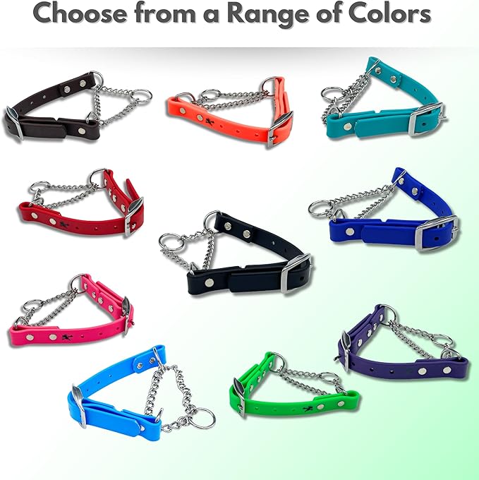 Martingale Collar for Dogs, Biothane, Stainless Steel Hardware, No Pull, Made in The USA, Professional Grade, Medium, Pink