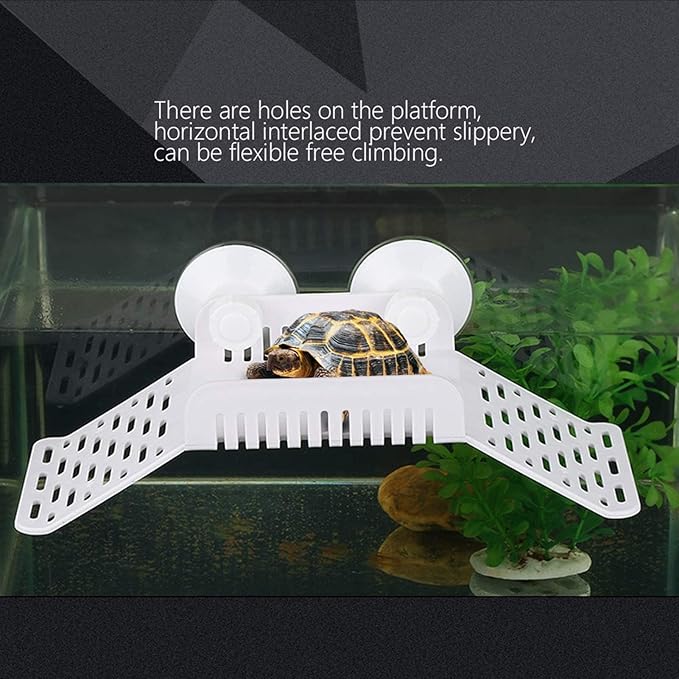 Reptiles Floating Tortoise Bank Tortoise Floating Basking with Terrarium Aquarium for Small Pets Sun Bathing Resting Play