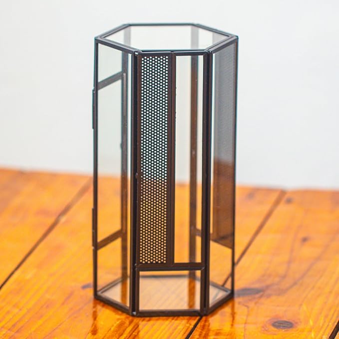 NCYP Glass Enclosure Terrarium with Mesh and Door for Small Spiders - Hexagon Shape, Small Mantis Vented Glass Terrarium 4.1'' x 3.6'' x 7.8'', Tabletop Decor, Black (Plants Not Include)