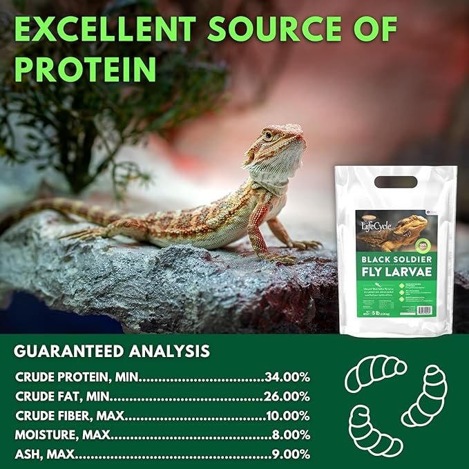 Black Soldier Fly Larvae, Bearded Dragon Food, Bugs for Reptiles, Worms for Geckos, Insect Protein, Baby Bearded Dragon Food, Made in USA, 5 lbs