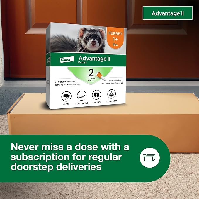 Advantage II Ferret Vet-Recommended Flea Treatment & Prevention | Ferret 1+ lbs. | 2-Month Supply