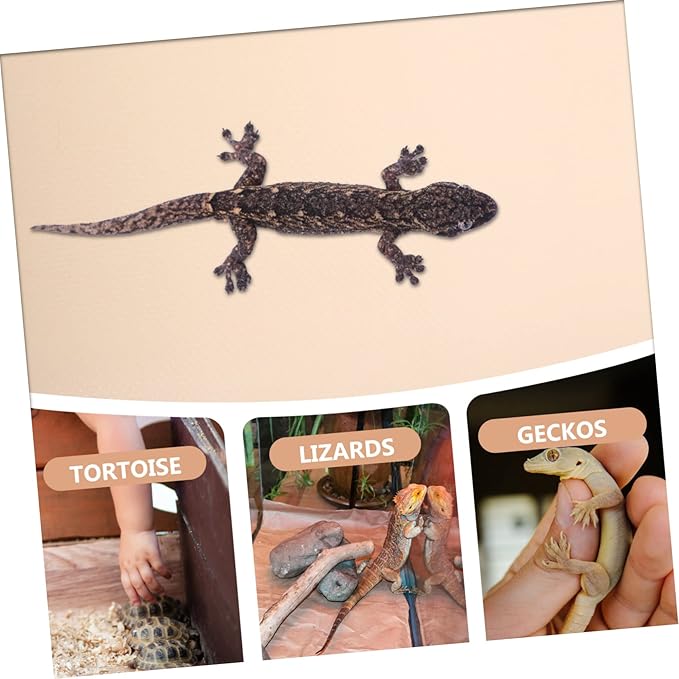 COLLBATH Reptile Carpet Mat for Terrarium Nonslip Bedding for Bearded Dragons Snakes and Lizards Material Protects Against Waste Gecko and Tortoise Tanks Pink