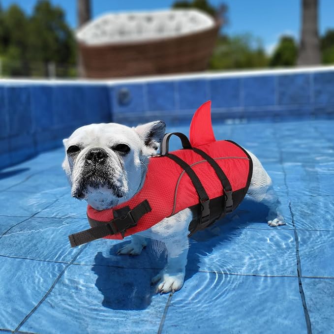 Queenmore Small Dog Life Jacket,Shark Dog Life Vest for Swimming,Puppy Light Life Preserver for Boating Kayaking Canoeing,Pet Reflective Lifesaver with High Buoyancy,Rescue Handle,Leash Hook (Red,S)