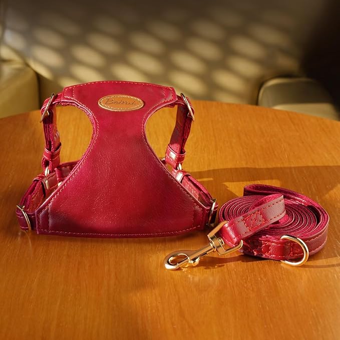 Beirui ‌Stylish PU Leather Dog Harness‌ and Leash Set for Small Dogs, ‌Adjustable Step in Puppy Harness with Breathable Mesh Lining and Durable Metal Buckle for Walking Traveling(Red,XS)