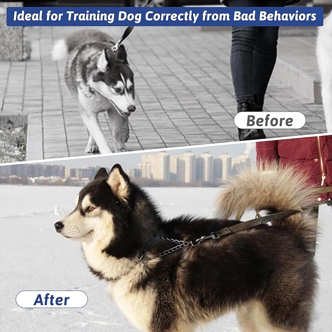 Pinch Collar for Dogs, Prong Training Collar with Quick Release Buckle for Dog Pulling Behavior Correction, Adjustable Pinch Leashes (XL / 23-26" Neck Size)