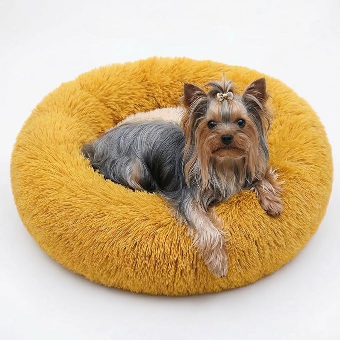 Calming Donut Dogs Beds for Small Dogs Washable,19inch Fluffy Round Puppy Bed for Puppies,Cats & Toy Breeds with Raised Rim,Fits up to 15 lbs Pets,Orange