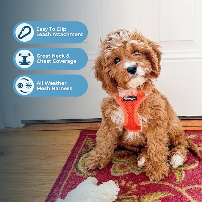Best Pet Supplies Voyager Step-in Air All Weather Mesh Harness and Reflective Dog 5ft Leash Combo with Neoprene Handle, for Small, Medium and Large Breed Puppies - Set (Orange), Medium