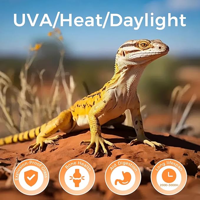 Reptile Heat Lamp 100W, Intense UVA Basking Light Bulbs, Flat-Base Heat Emitter, Heat Lamp Bulb for Reptile Chick 2 Pack