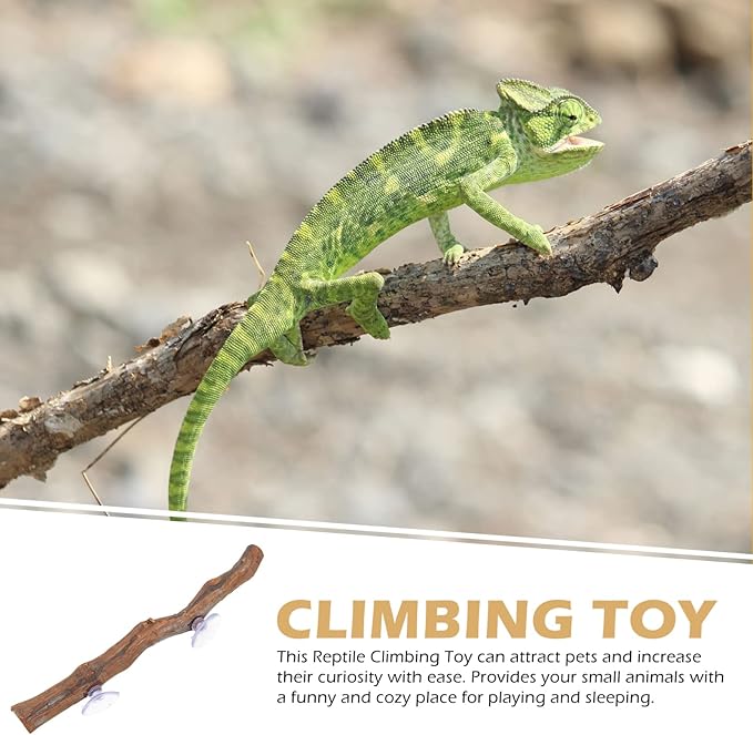 NUOBESTY Bearded Dragon Wooden Tree Branch Rack Lizard Climbing Toy Natural Reptile Decor for Terrarium Encourages Exercise Coordination for Reptiles Pets