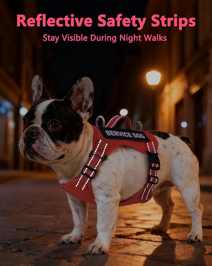 Service Dog Vest for Small Breed Dogs with ID Tag – Lightweight Puppy Harness and Leash Set with 6 PCS Patches, Ideal Service Animal Vest for Training, Complete Service Dog Gear, Red, L