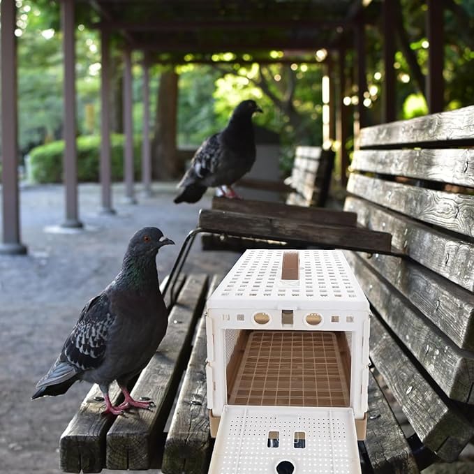 Small Bird Cage - Foldable Portable Carrier for Indoor Outdoor Transport, Yard Training, Competition, Lightweight Travel Bird Domestication Station for Parrots, Finches, Budgies 12.6x7.87x8.66 Inches