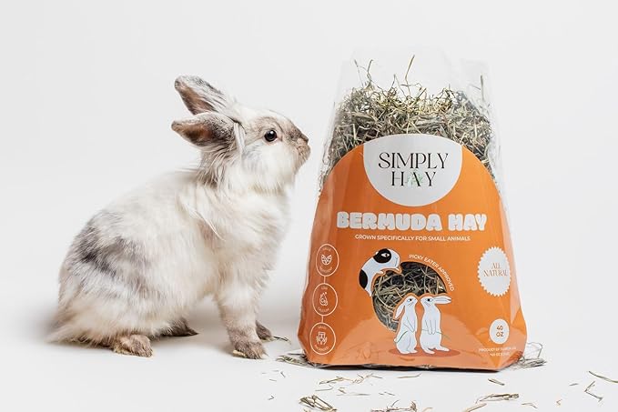Bermuda Hay – High-Fiber, Low-Calcium Coastal Grass for Rabbits, Guinea Pigs & Small Pets – All-Natural, Hand-Packed, Timothy-Allergy Friendly (24 oz)