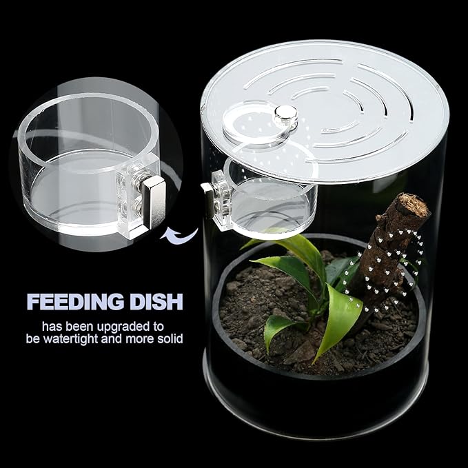 Jumping Spider Enclosure Starter Kit with Feeding Dish, Tarantula Terrariums Cribs for Mantis Snails Ladybugs Insect, Micro Habitat Cage Accessories