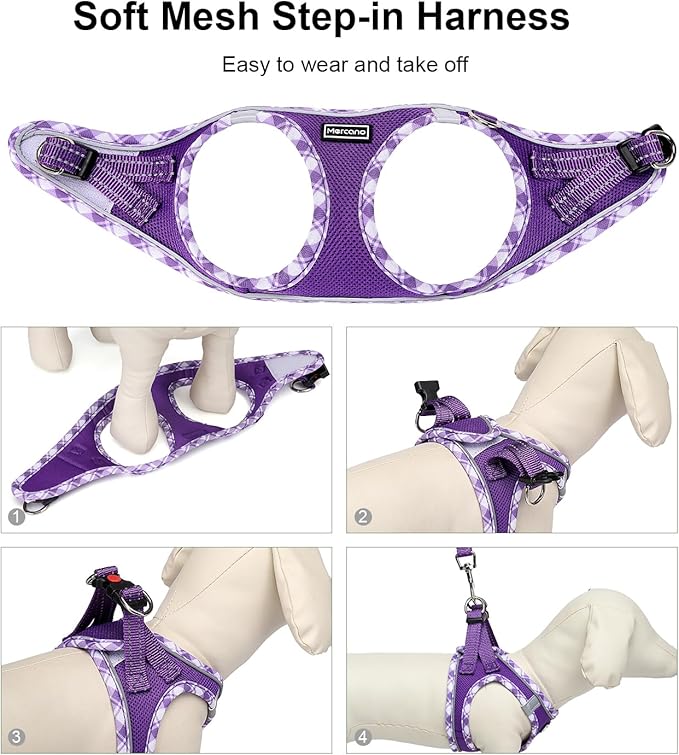 Mercano Soft Mesh Dog Harness and Leash Set, No-Chock Step-in Reflective Breathable Lightweight Easy Walk Vest Harnesses with Safety Buckle for Small Dogs, Cats (XXS, Purple)