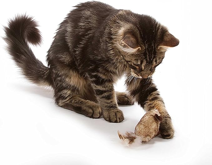 OurPet's Play-N-Squeak Twice the Mice Cat Toy, 2 Pack, with Catnip Inside - Image 2