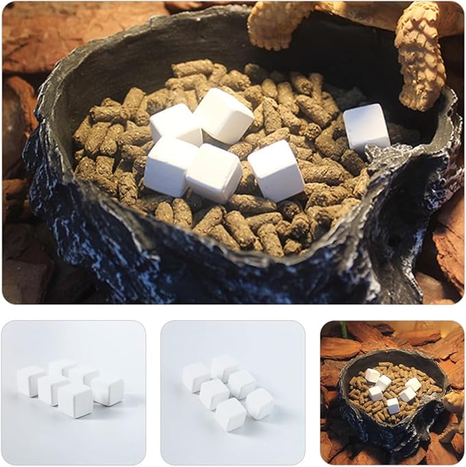Turtle Calcium Molar Cube Mineral Block 6pcs Natural Reptile Calcium for Tortoise and Aquatic Turtle Tank Health